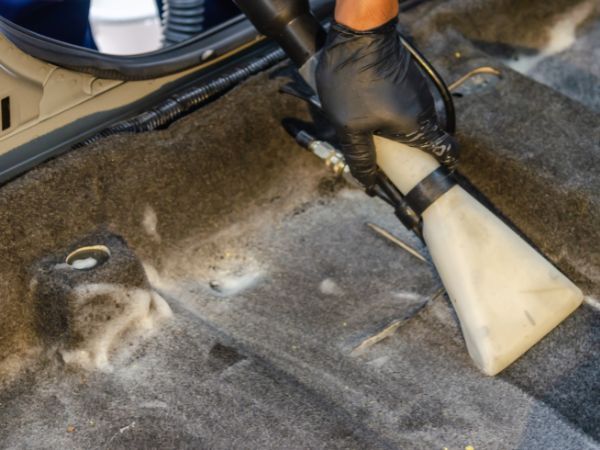 Carpet To Dry after Cleaning 