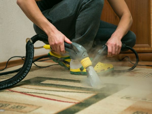 Read more about the article How Long Does Carpet Cleaning Take?